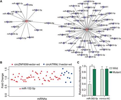 CircATRNL1 and circZNF608 Inhibit Ovarian Cancer by Sequestering miR-152-5p and Encoding Protein